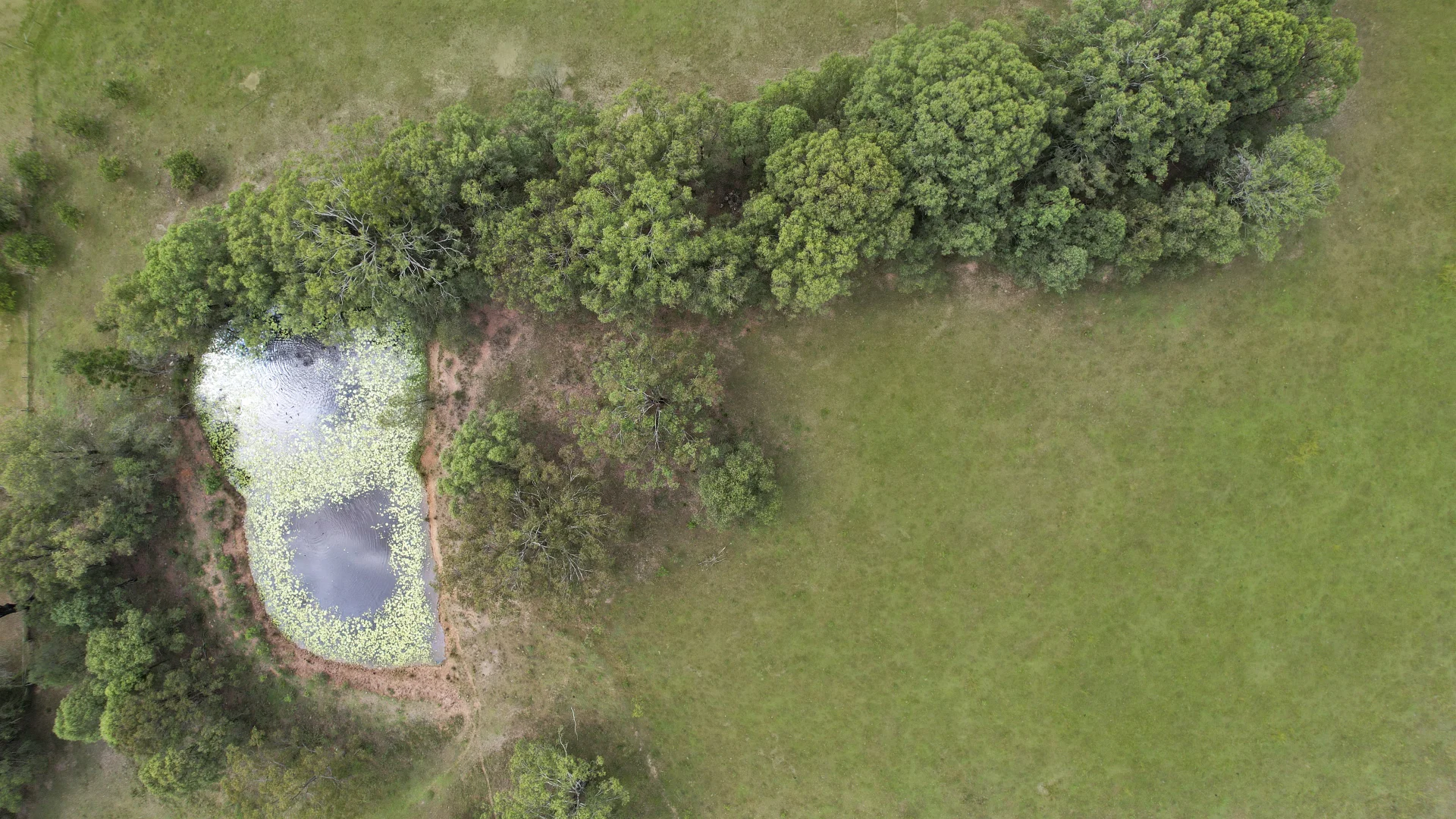 Additional image 31 of 117-119 Veresdale Scrub Road, Gleneagle QLD 4285