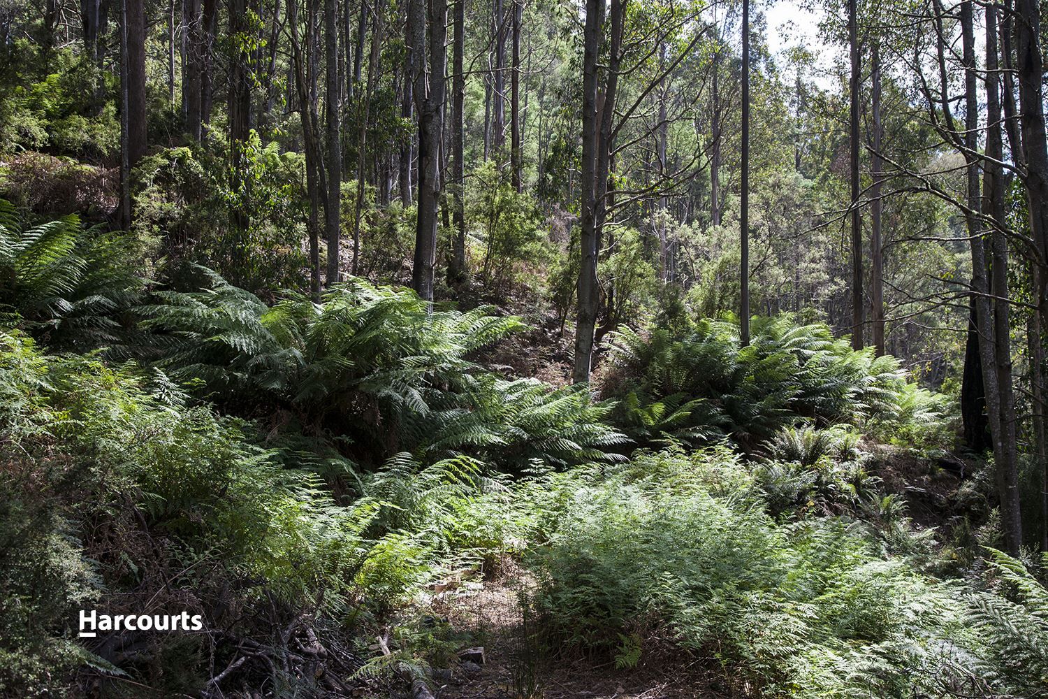 Lot 2 Bakers Creek Trail, Lucaston TAS 7109, Image 2