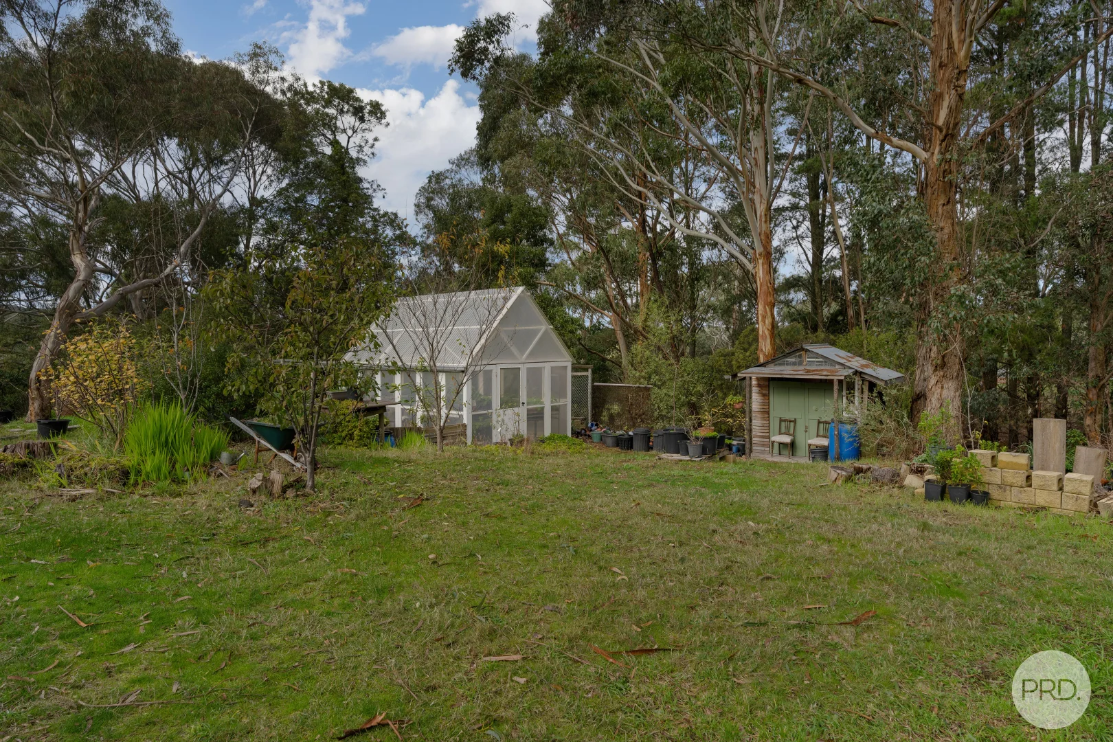 Image 14