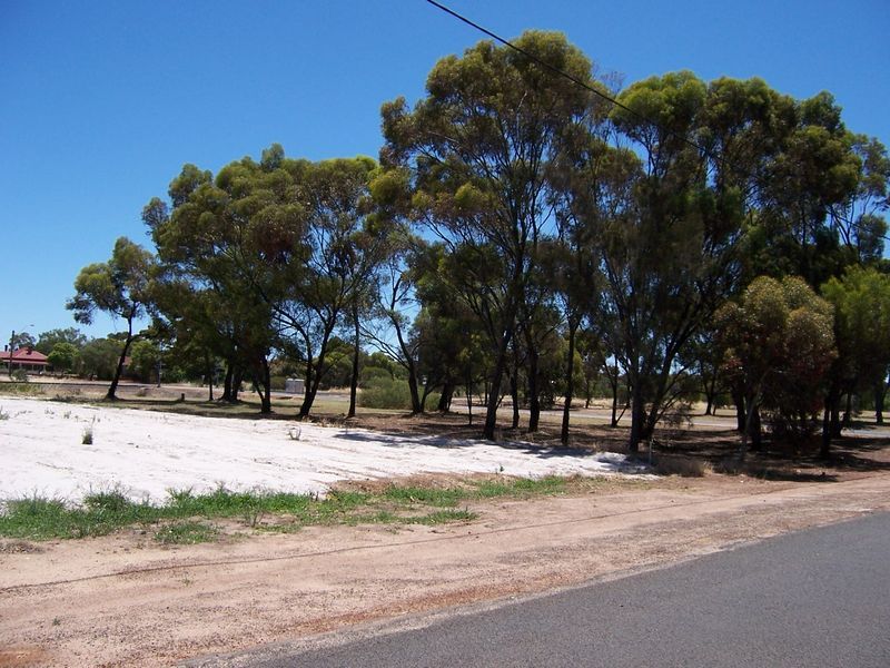 Lot 249 Ventnor Street, Wagin WA 6315, Image 1