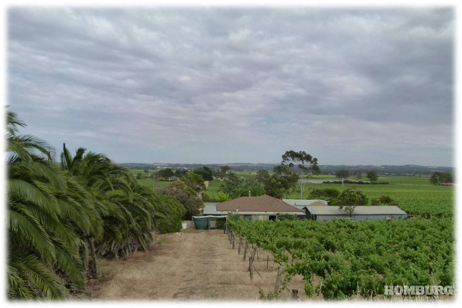 273 Saleyards Road, Penrice SA 5353, Image 2