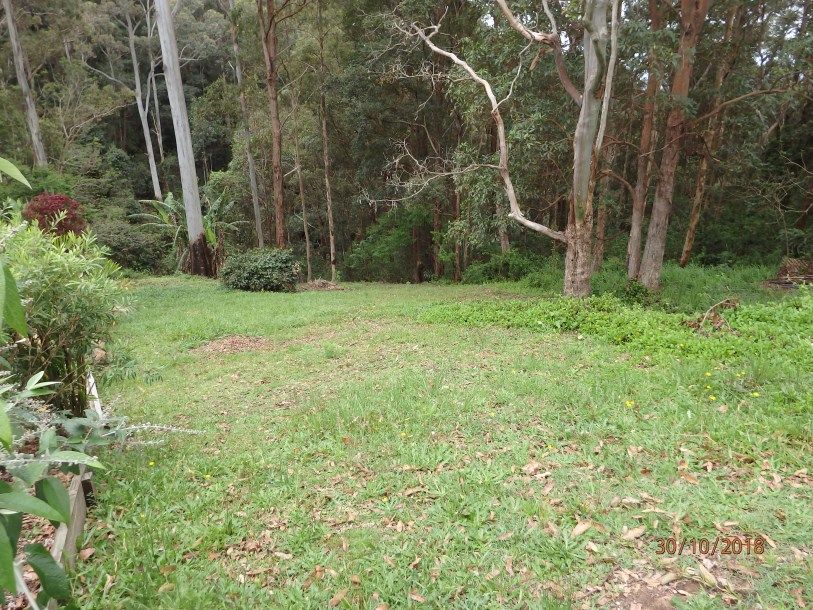 4 Gretty Lane, Lower Beechmont QLD 4211, Image 1