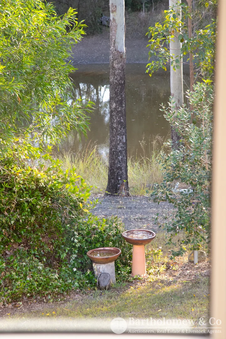 Image 32