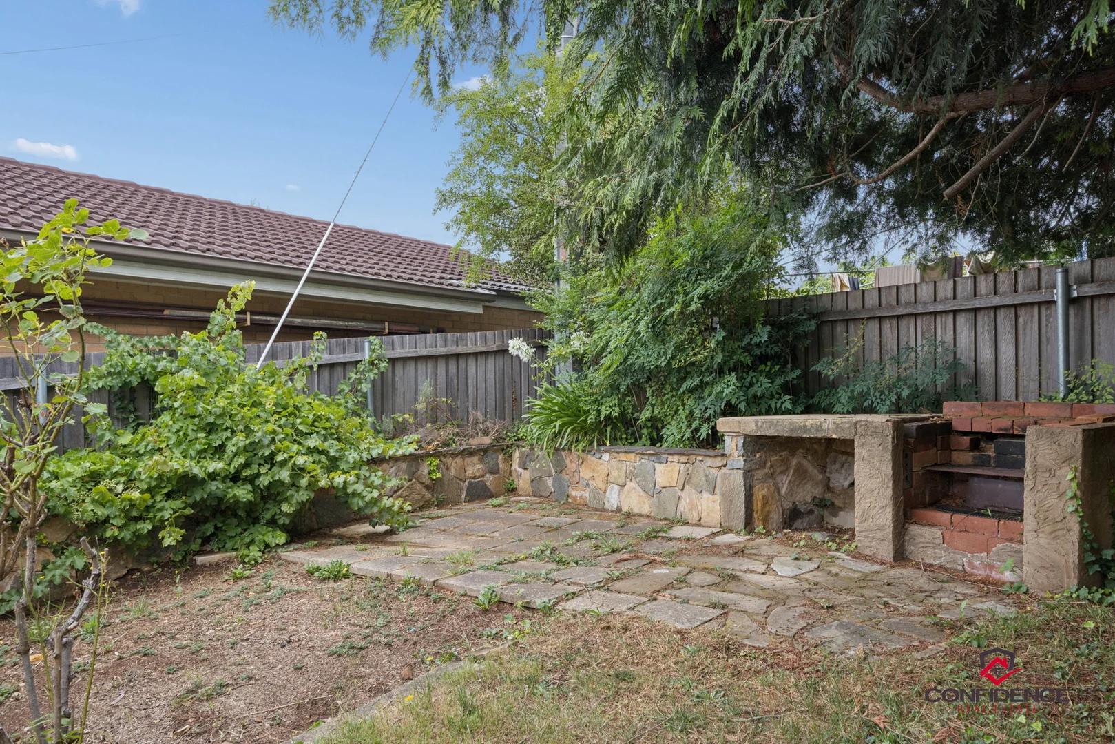 Image 20