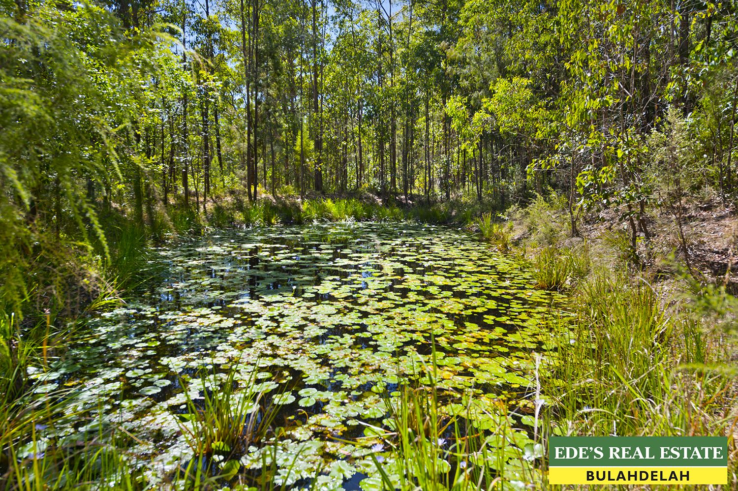 820 Markwell Back Road, Markwell NSW 2423, Image 1