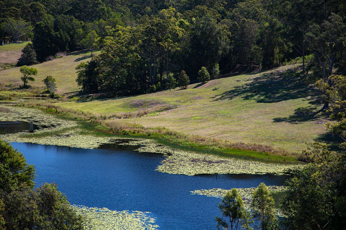 111 Sunridge Road, Landers Shoot QLD 4555, Image 0