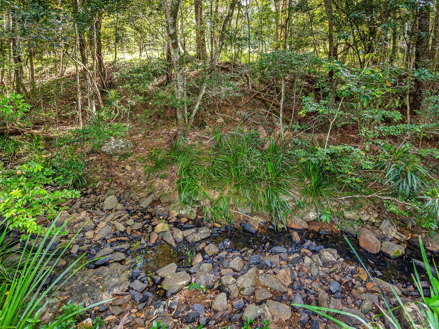 Image 19