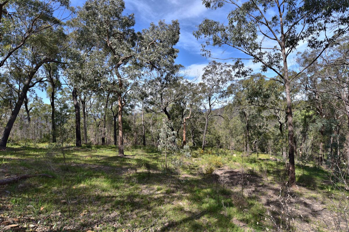 Knights Rd, Laguna NSW 2325, Image 2