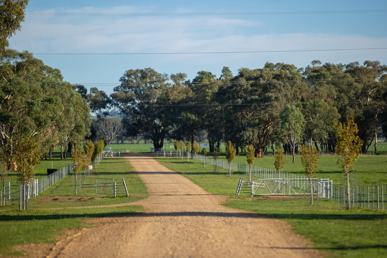 Additional image 27 of 1948 Coach Road, Morven NSW 2660