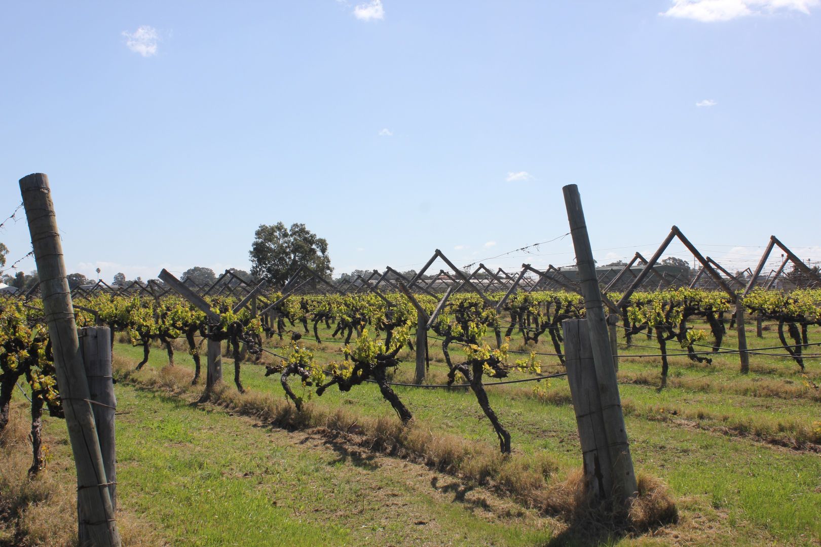 Caversham WA 6055 vacant land for Sale, Prices vary per Lot, see