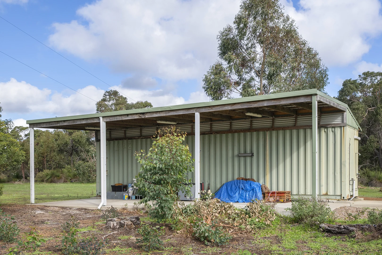 Image 15