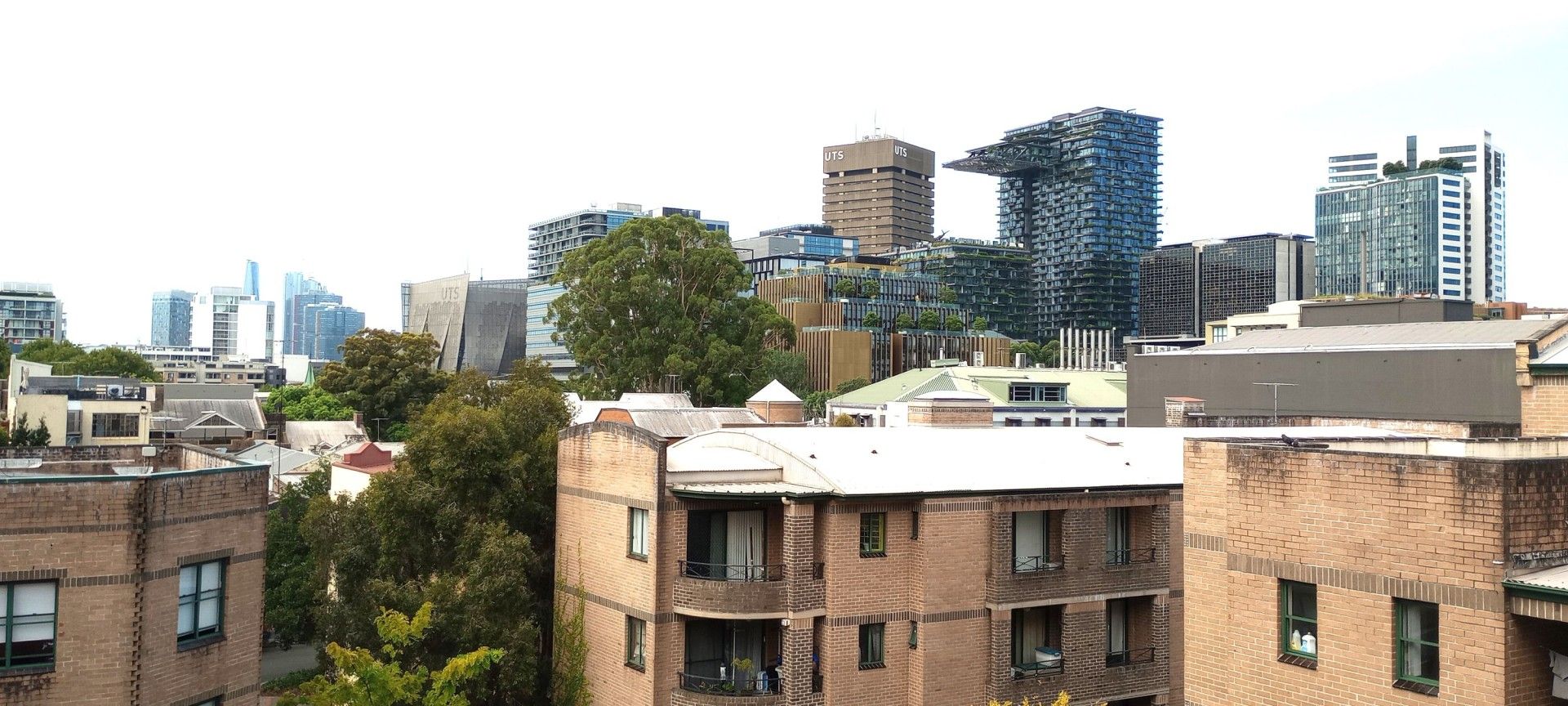 33/1 Wiley Street, Chippendale NSW 2008 Apartment For Rent Domain