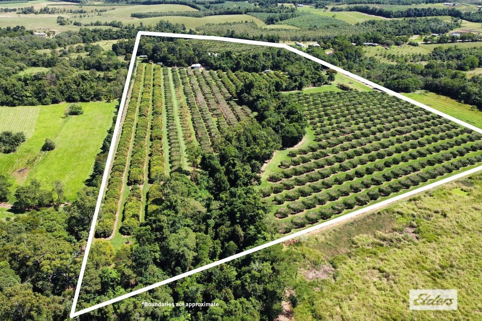 281 Dingo Pocket Road, Dingo Pocket QLD 4854 House for Sale