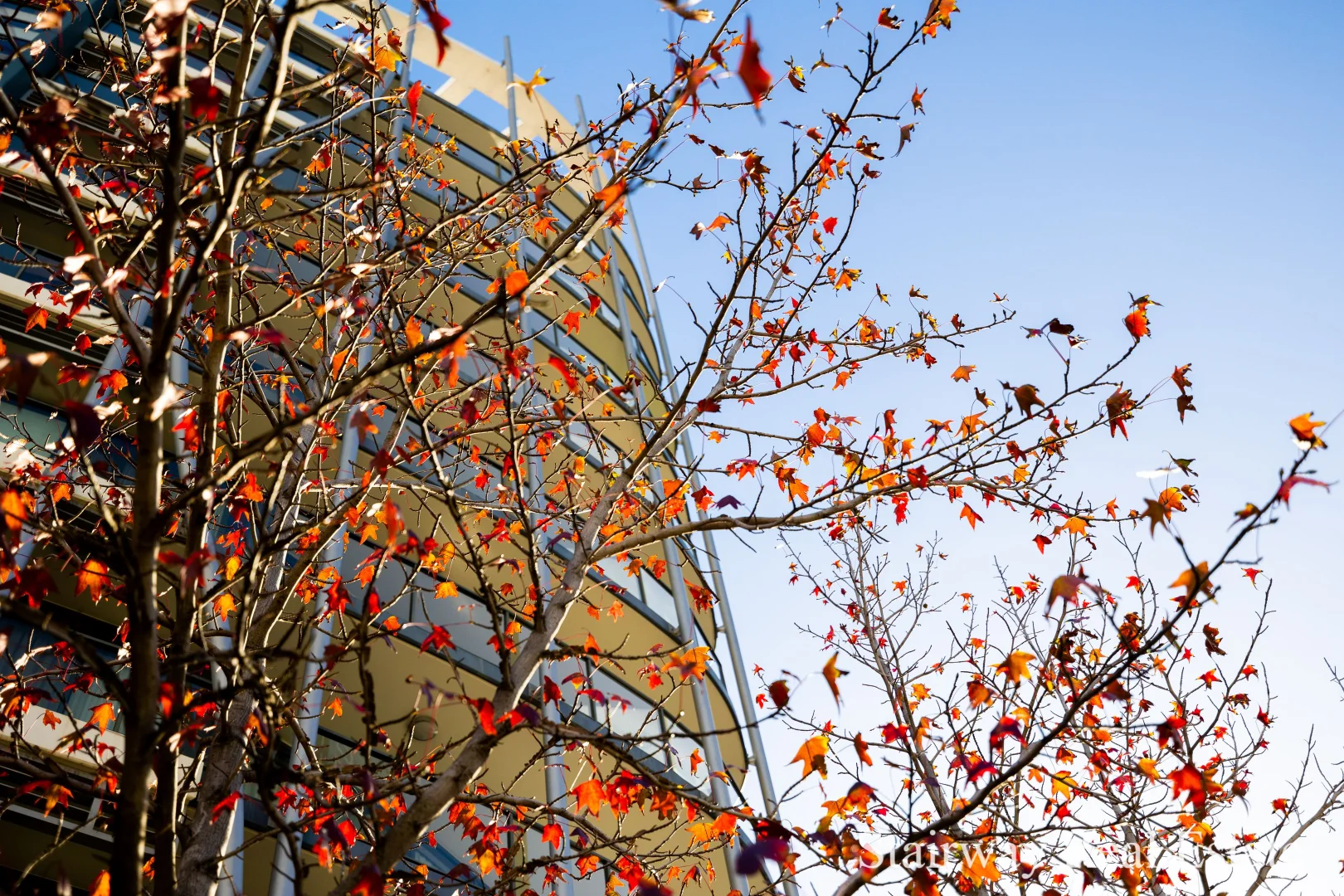 Additional image 45 of 59/69 Milligan Street, Perth WA 6000