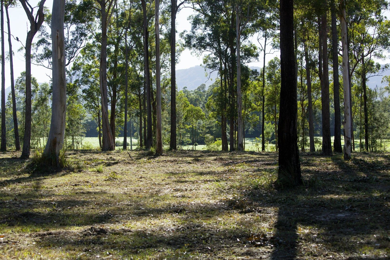 569 Upper Lansdowne Road, Upper Lansdowne NSW 2430, Image 0