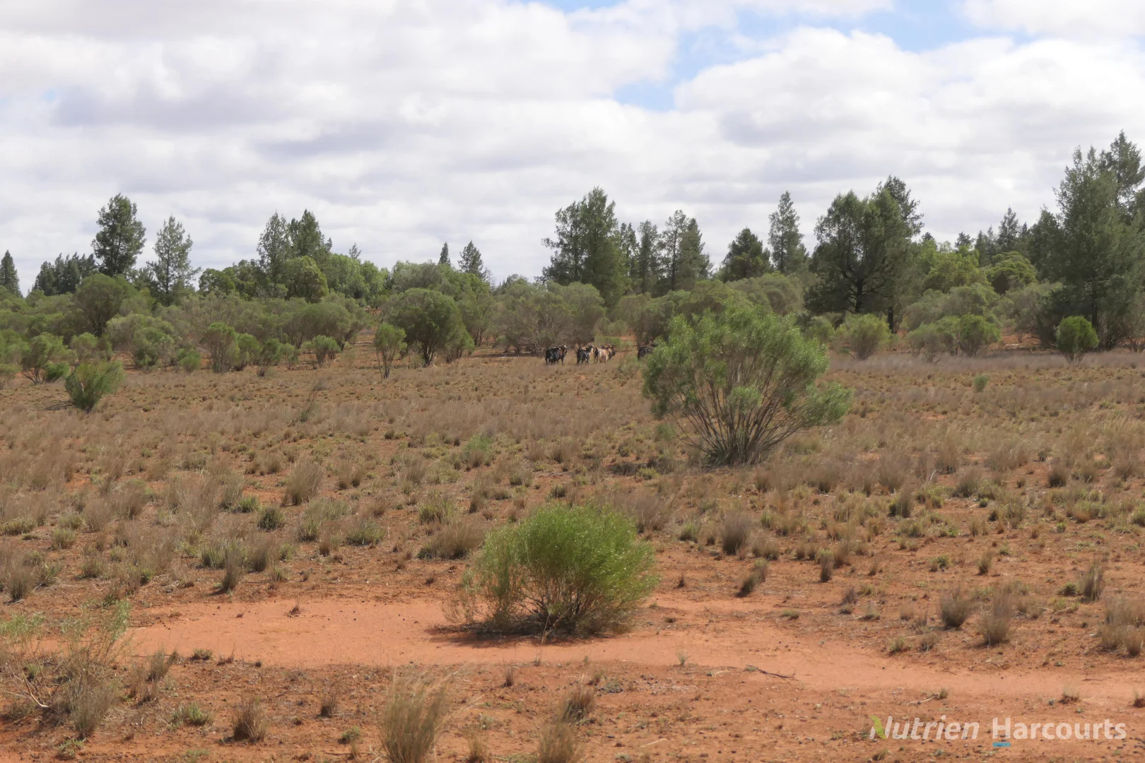 Additional image 2 of 27 Singleton Drive, Cobar NSW 2835