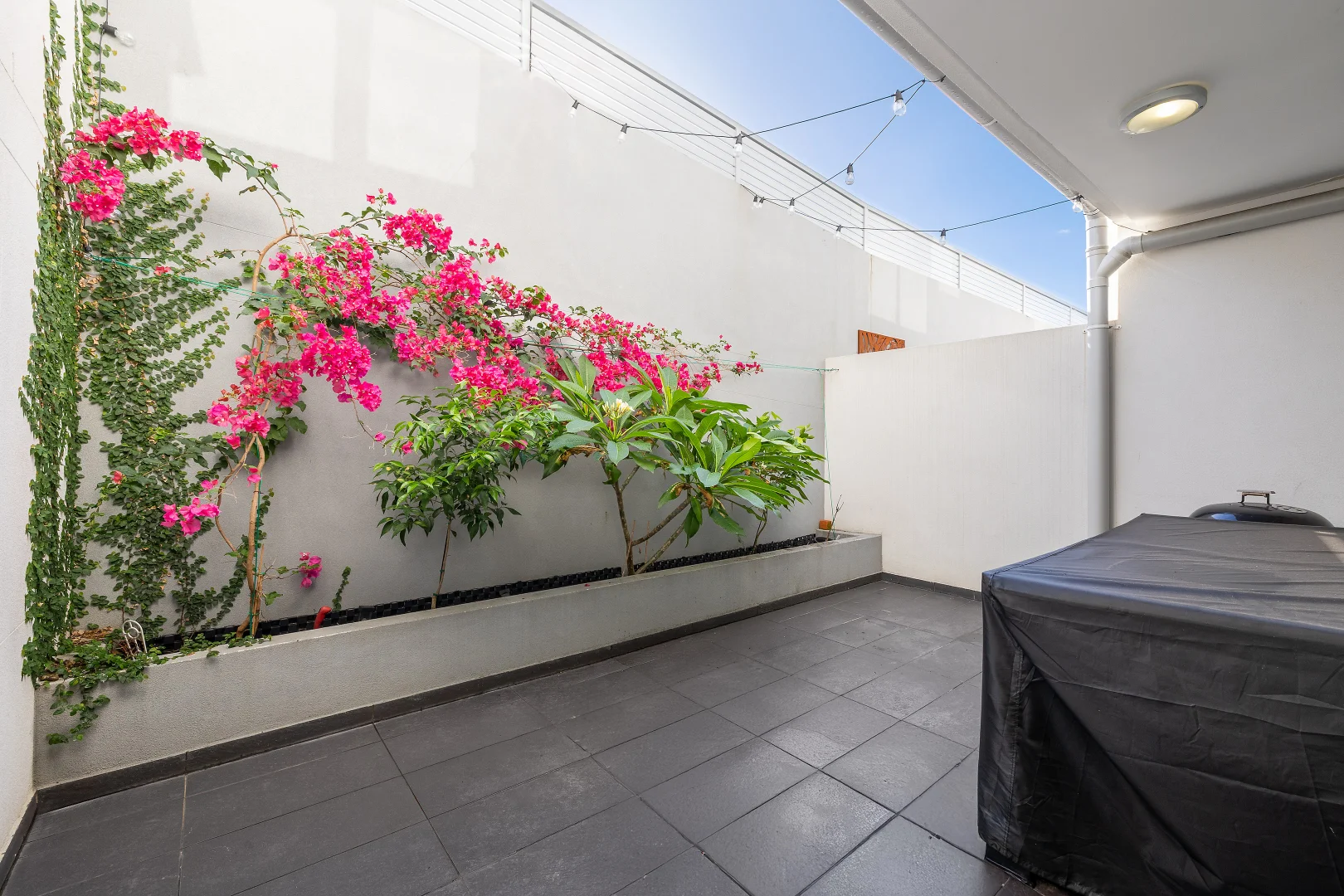 Additional image 6 of 1/333-339 Stoney Creek Road, Kingsgrove NSW 2208