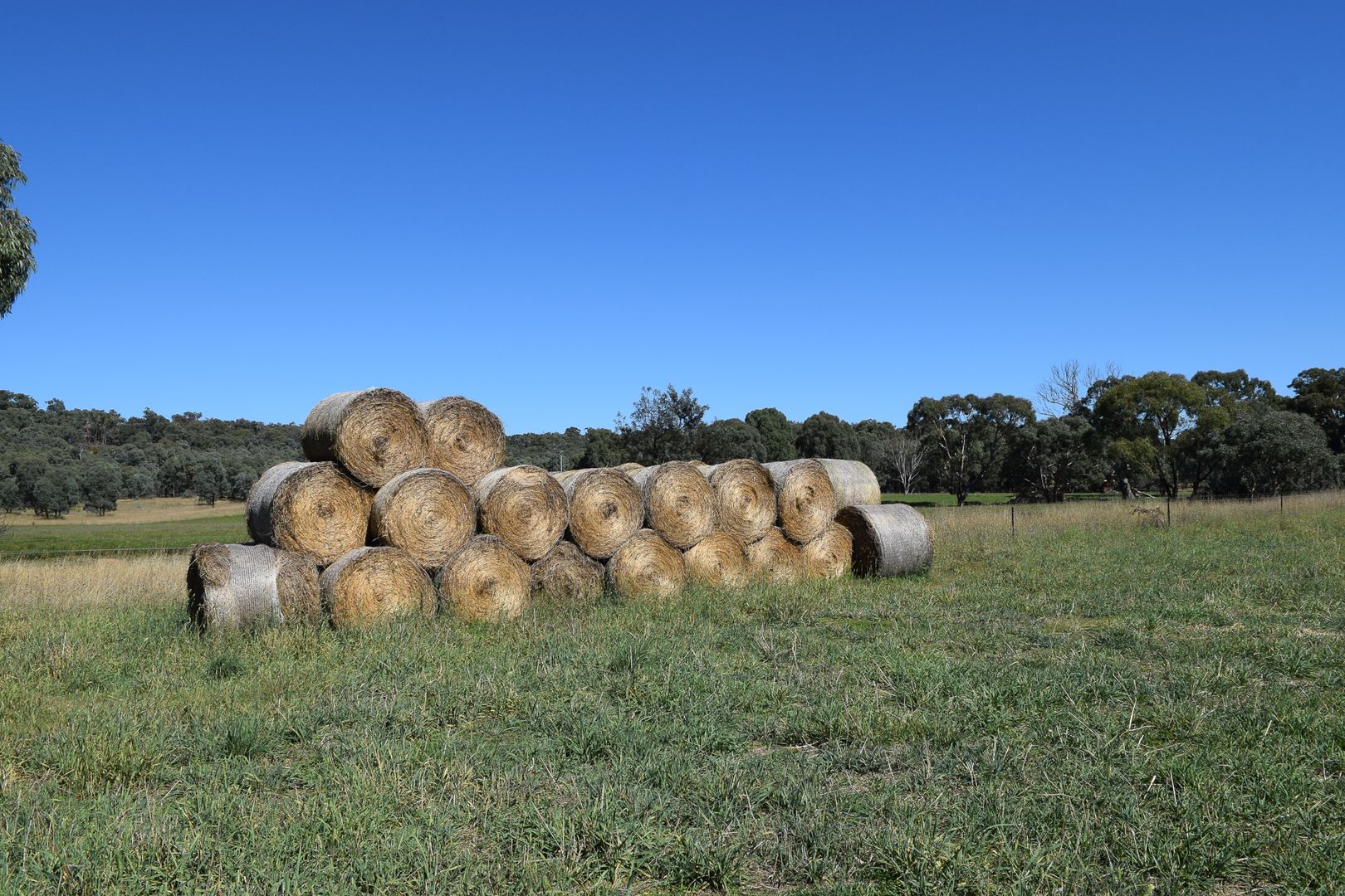 Little Plains Road, Blakney Creek NSW 2581, Image 1