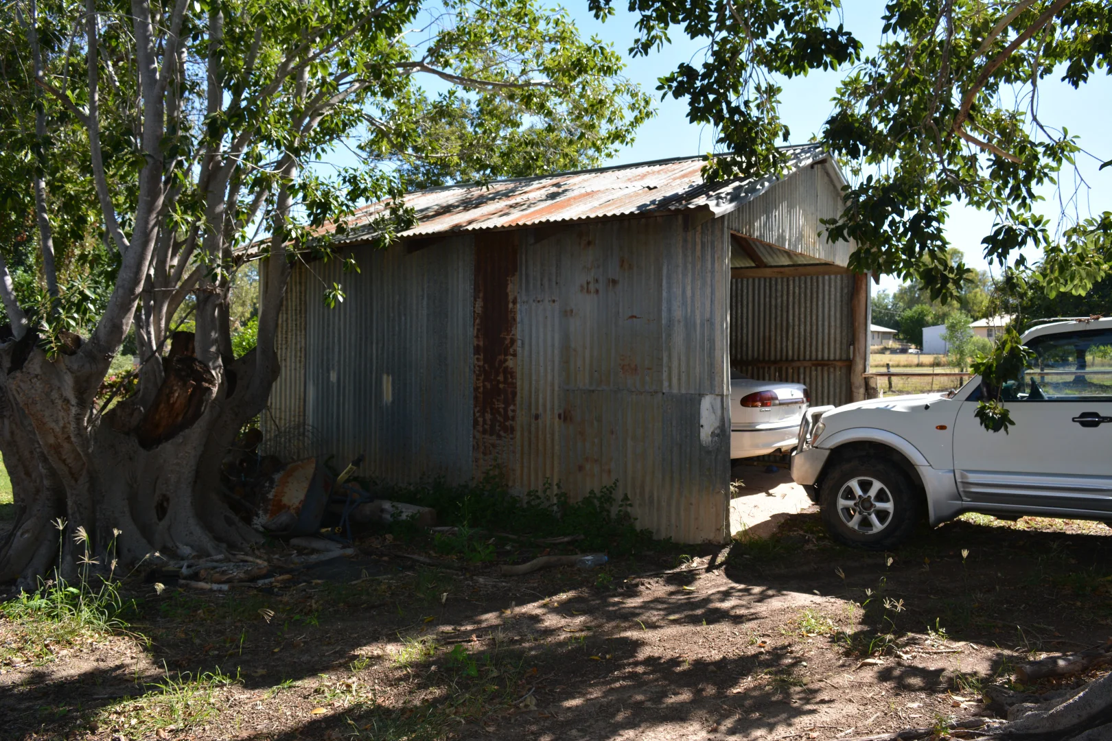 Image 13