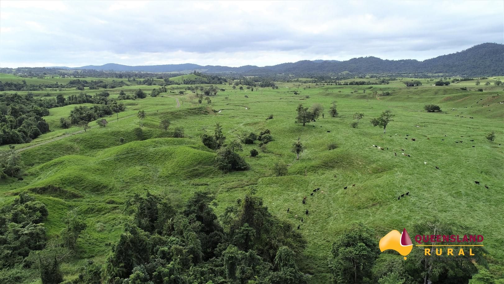 Mena Creek QLD 4871 House for Sale Domain