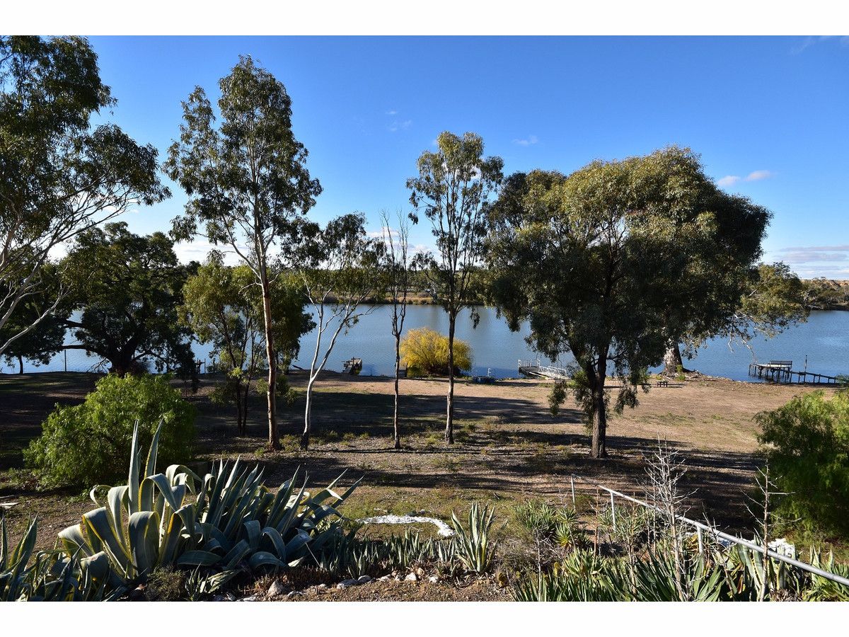 Shack 4/6465 Murraylands Road, Swan Reach SA 5354, Image 1