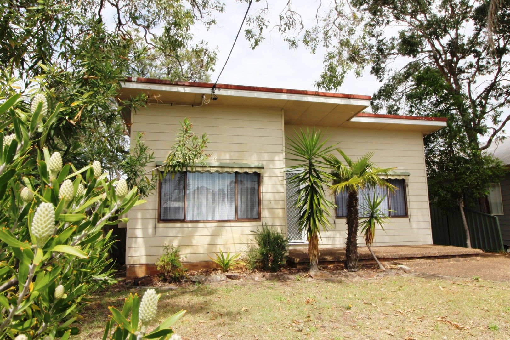 66-lone-pine-ave-umina-beach-nsw-2257-house-for-rent-domain
