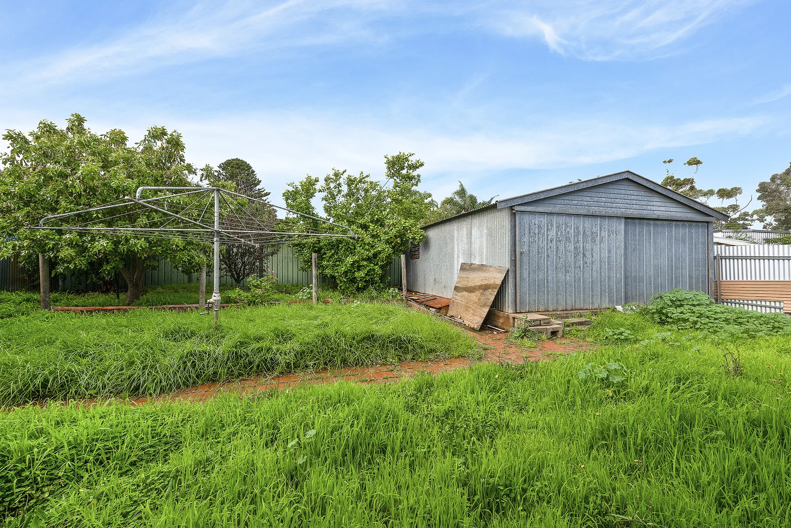 Image 22