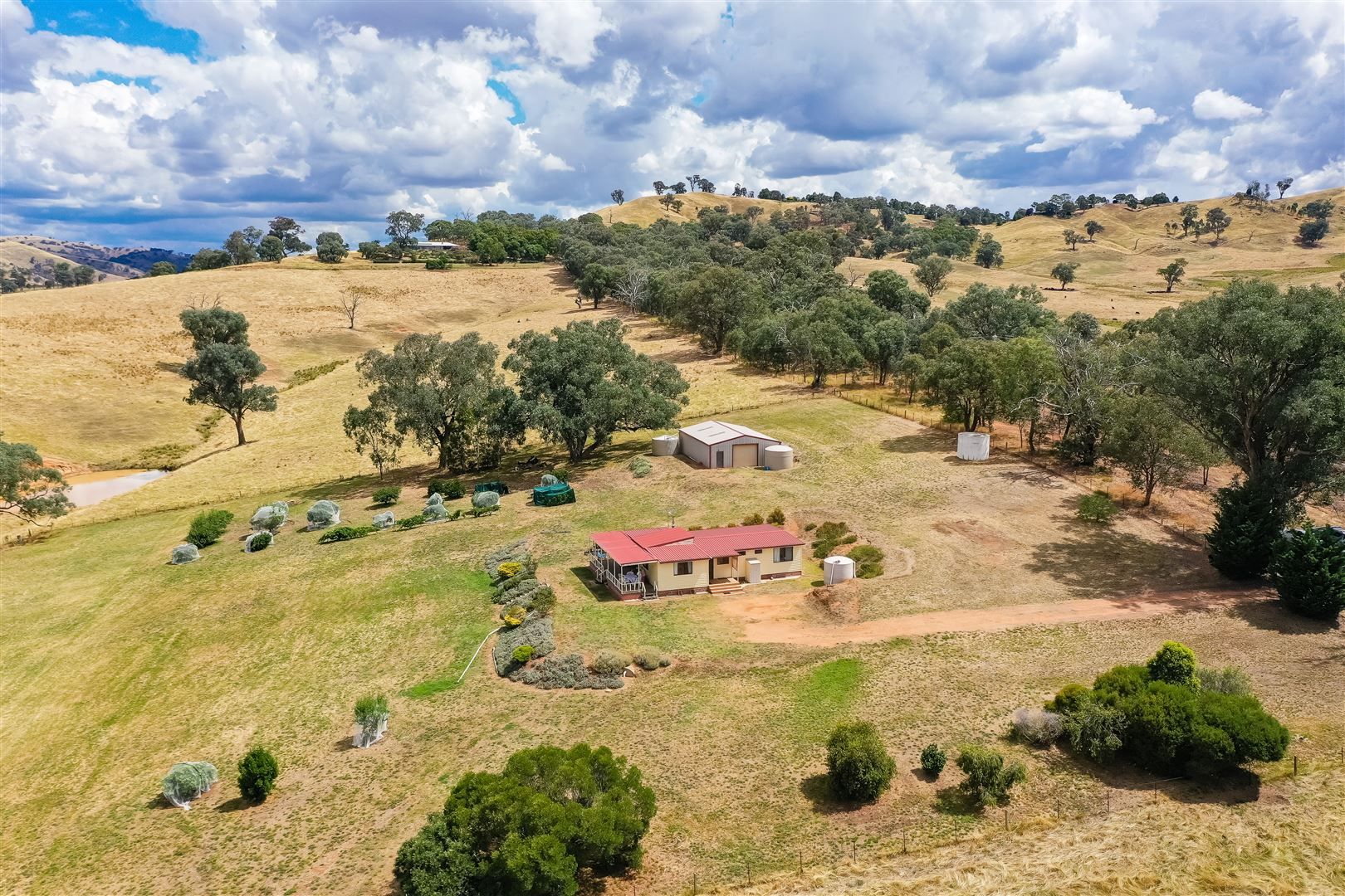 444 Talgarno Gap Road, Talgarno VIC 3691, Image 2