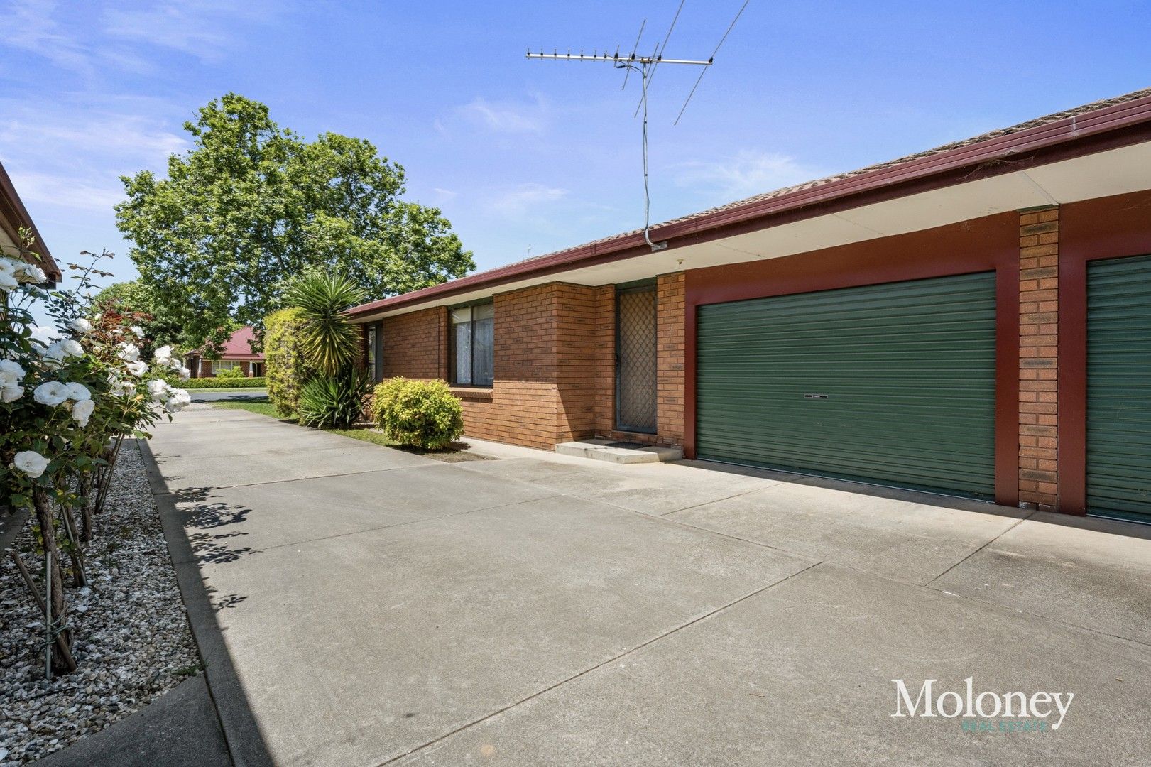 3/9 Edward Street, Corowa NSW 2646, Image 0