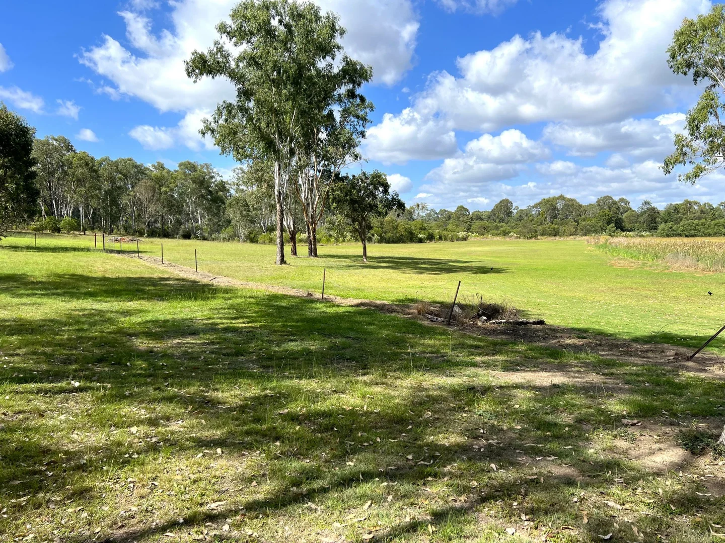 Image 14