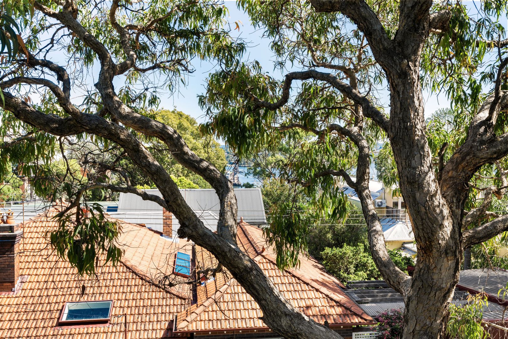 9/15 Macquarie Terrace, Balmain NSW 2041, Image 2