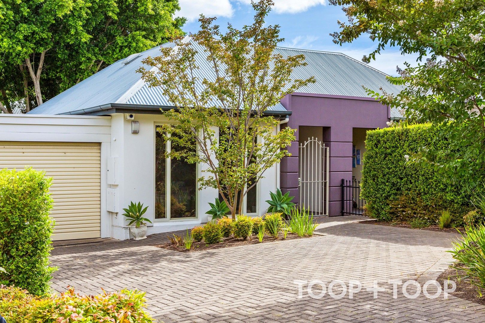 51 Queen Street, Glenunga SA 5064, Image 0