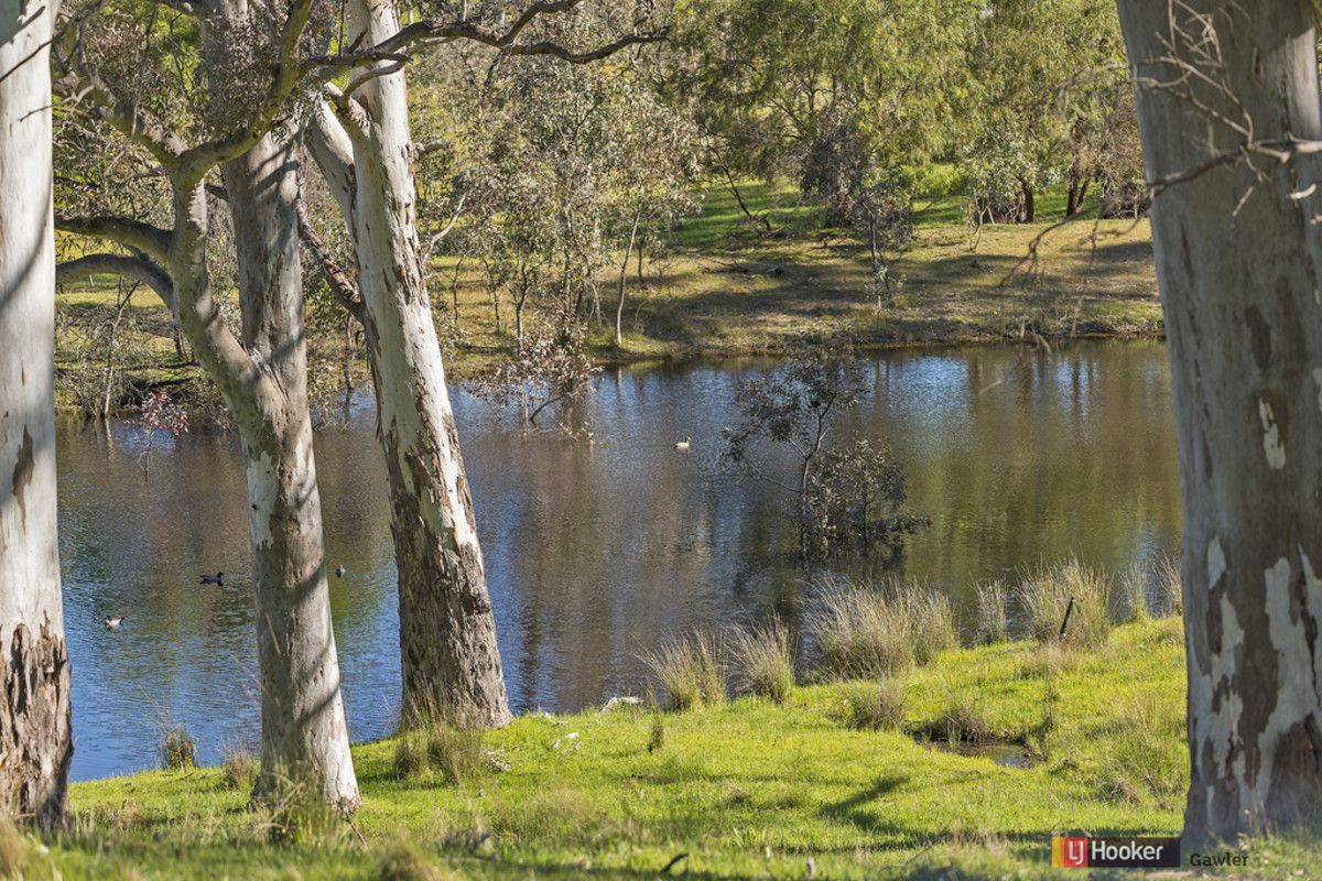 151 Keynes Hill Road, Eden Valley SA 5235, Image 1