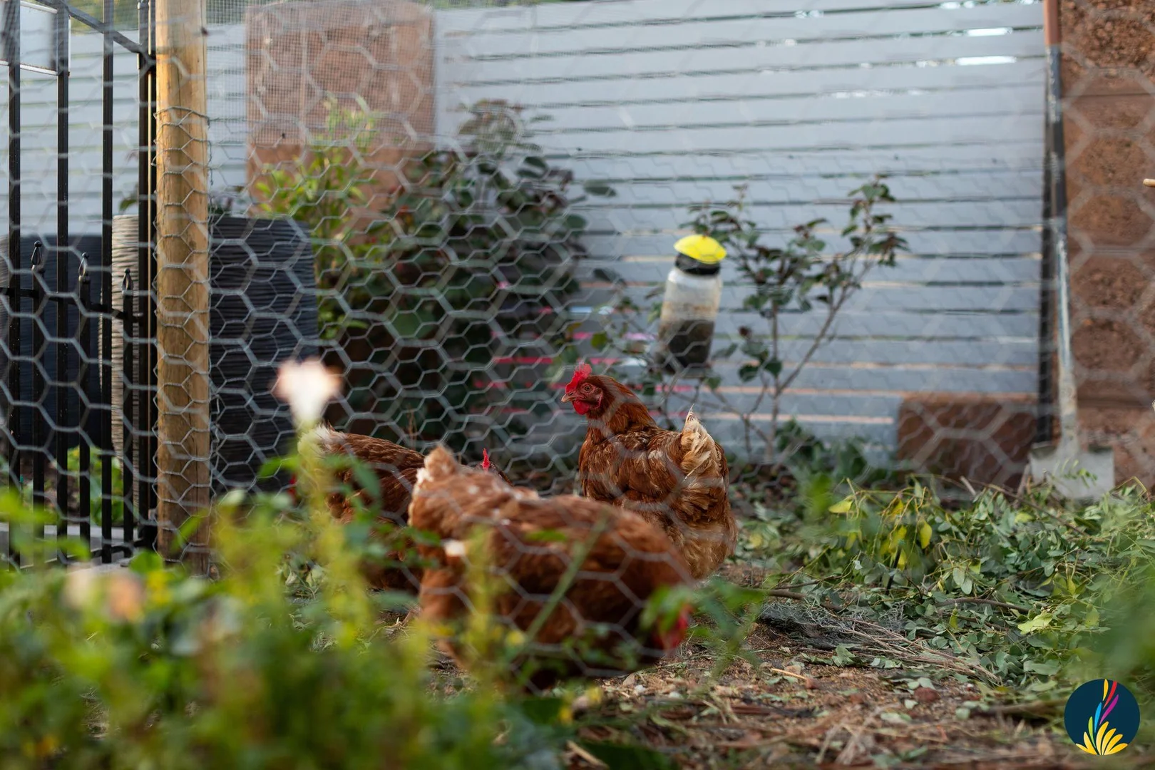 Additional image 23 of 7 Geographe Loop, Ellenbrook WA 6069