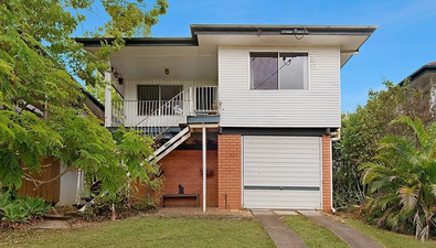 Picture of 61 Ward Street, INDOOROOPILLY QLD 4068