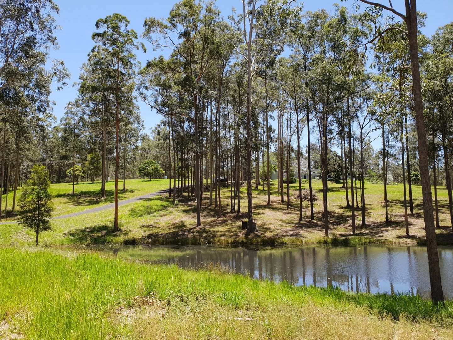 Memory Lane, North Deep Creek QLD 4570, Image 1