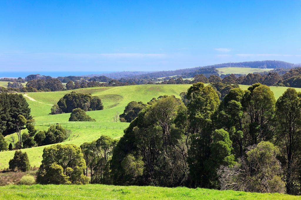 110 Dehnerts Track, Beech Forest VIC 3237, Image 1