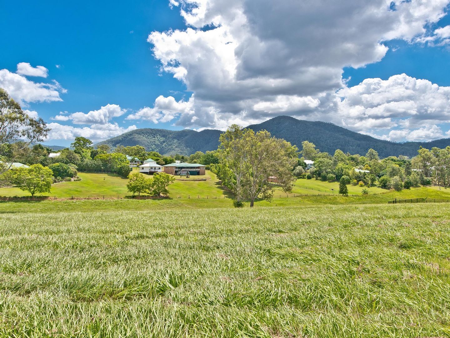 8 Angshelle Court, Samford Valley QLD 4520, Image 1