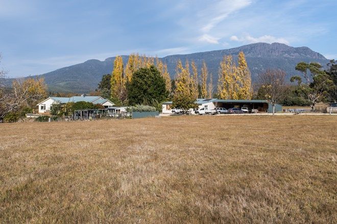 Picture of 141 Myrtle Creek Road, LIFFEY TAS 7301