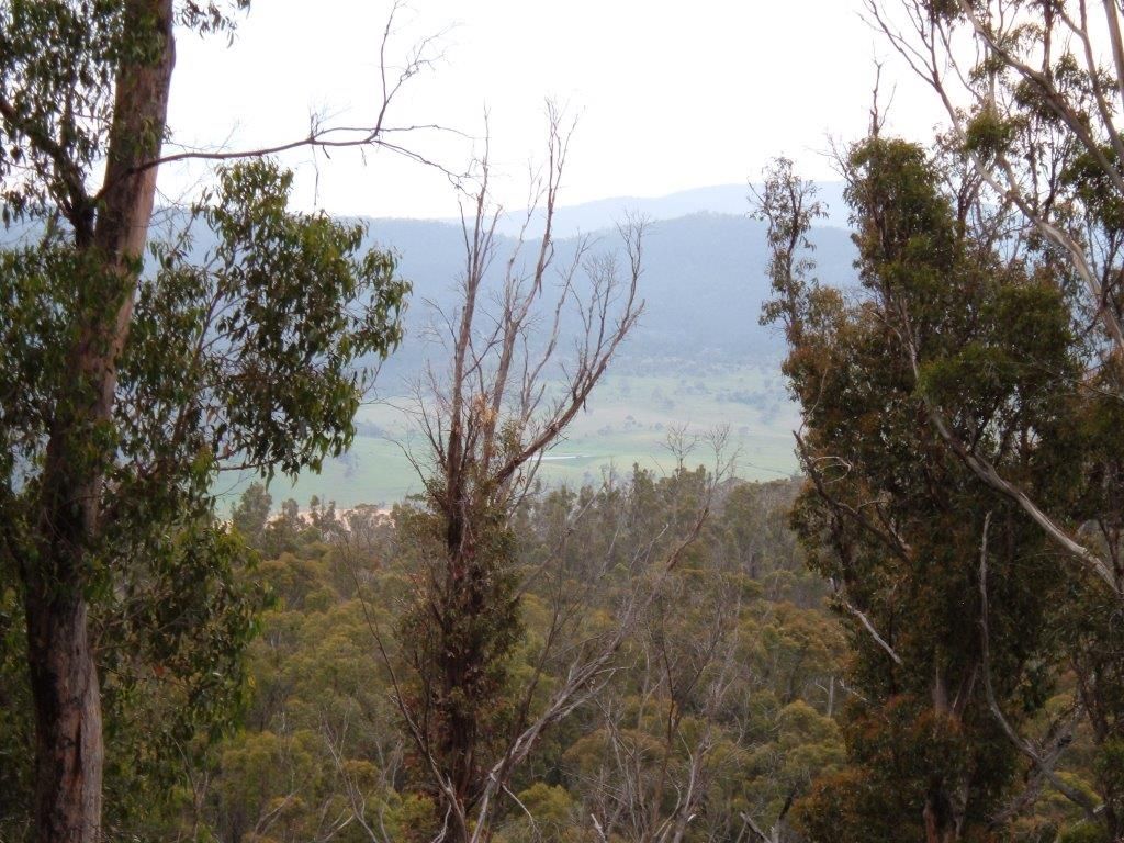 Lot 10 Church Road, Dromedary TAS 7030, Image 0