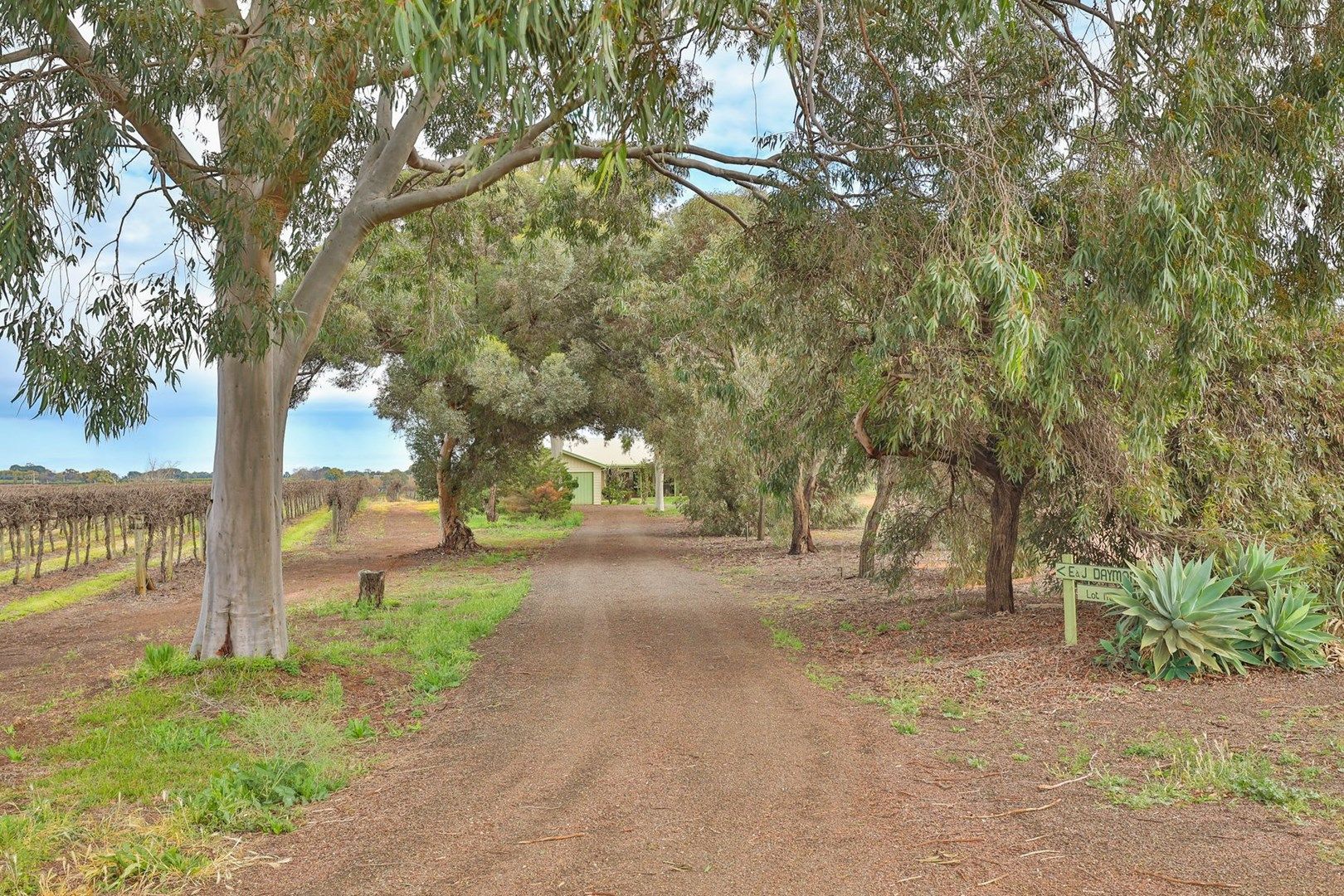 95 Oleander Drive, Coomealla NSW 2717, Image 0