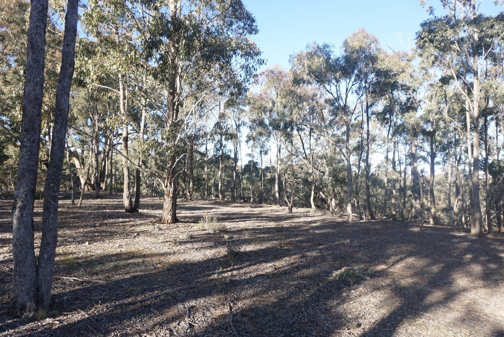 Lot 1/205 Beralston Road, Gundaroo NSW 2620, Image 2