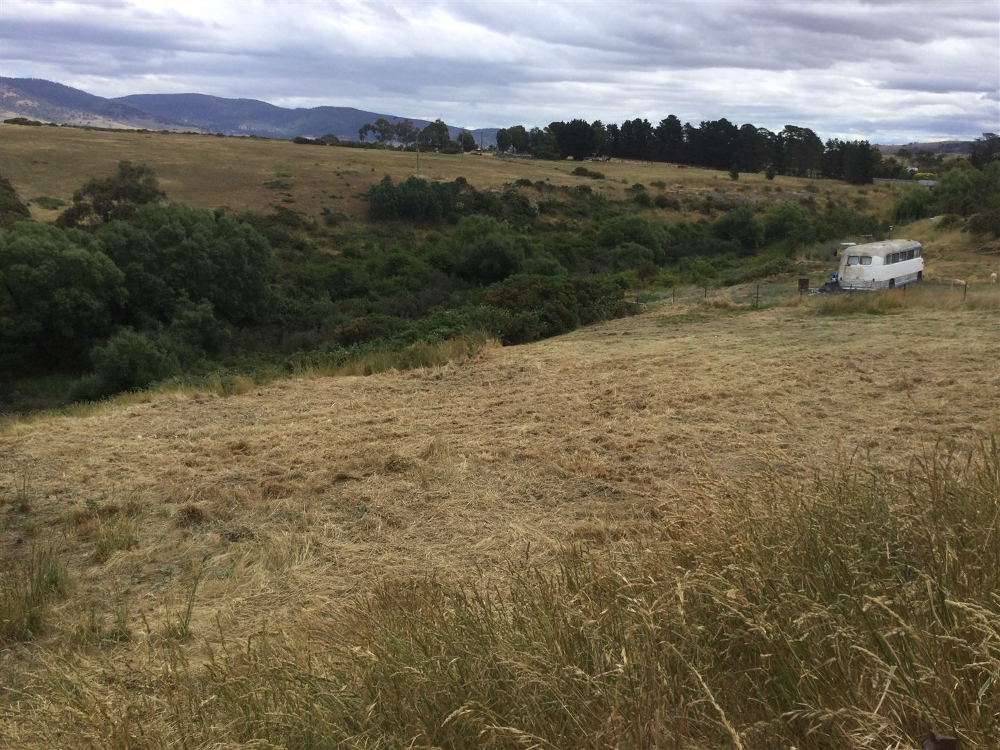 Lot 1 St Pauls Place, Avoca TAS 7213, Image 1