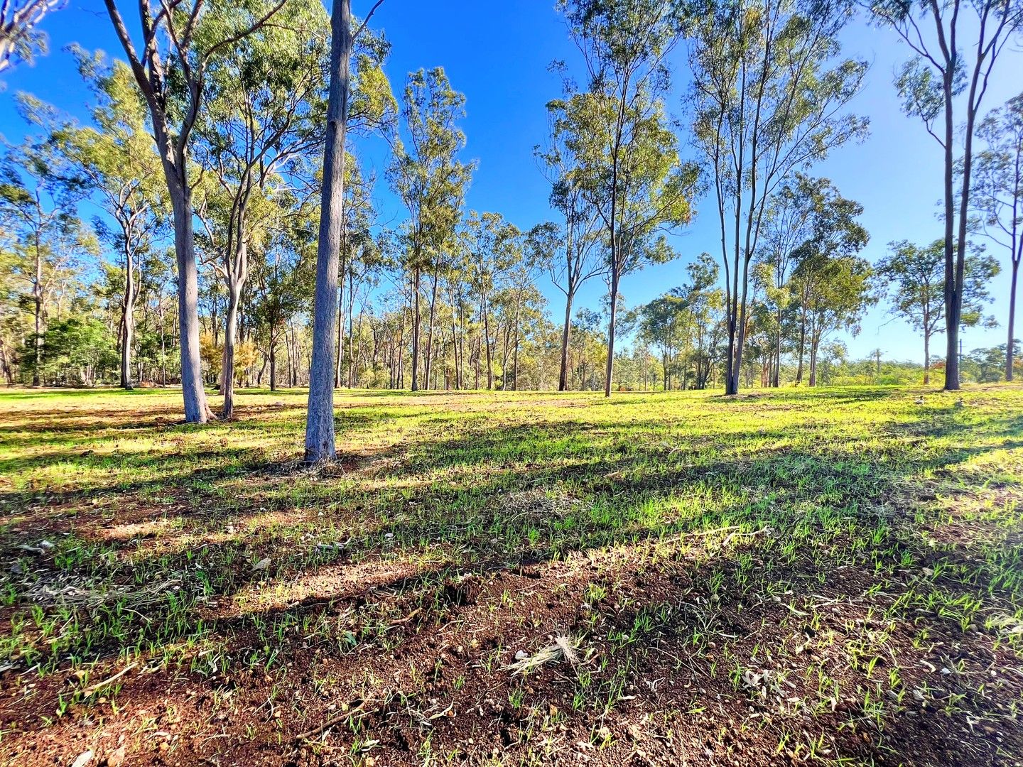 61 Breen Court, McIlwraith QLD 4671, Image 0