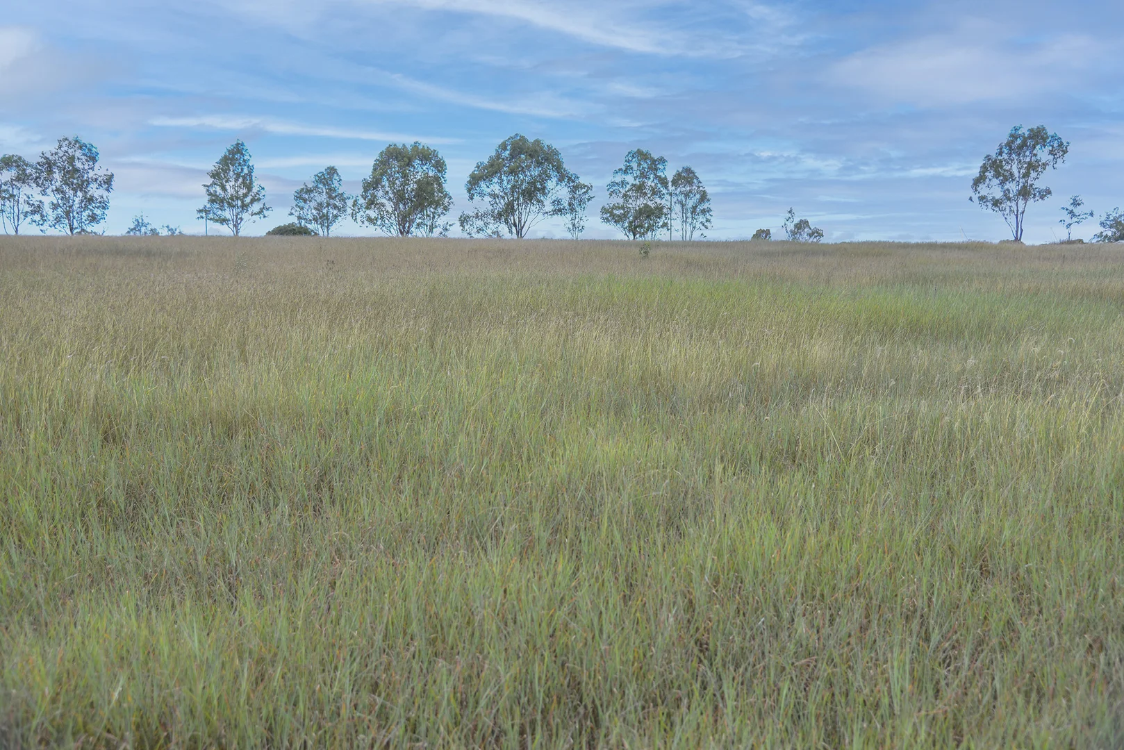 Additional image 20 of 480-510 Rosewood-Warrill View Road, Rosewood QLD 4340