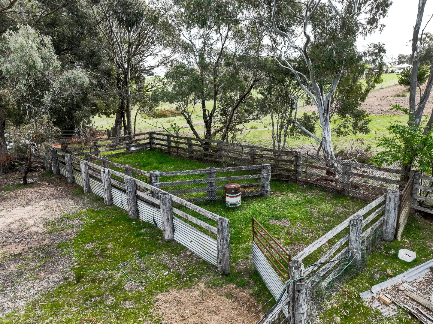Image 11