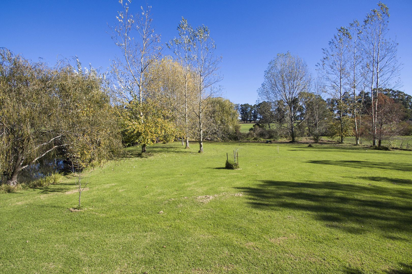 Roberts Road, Nannup WA 6275, Image 2