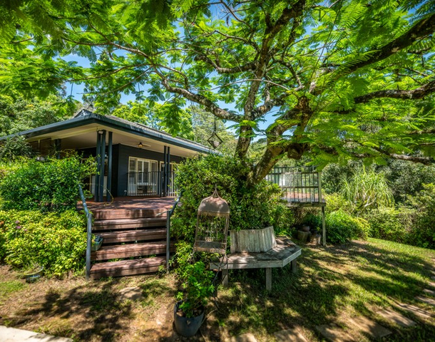 917 Waterfall Way, Bellingen NSW 2454