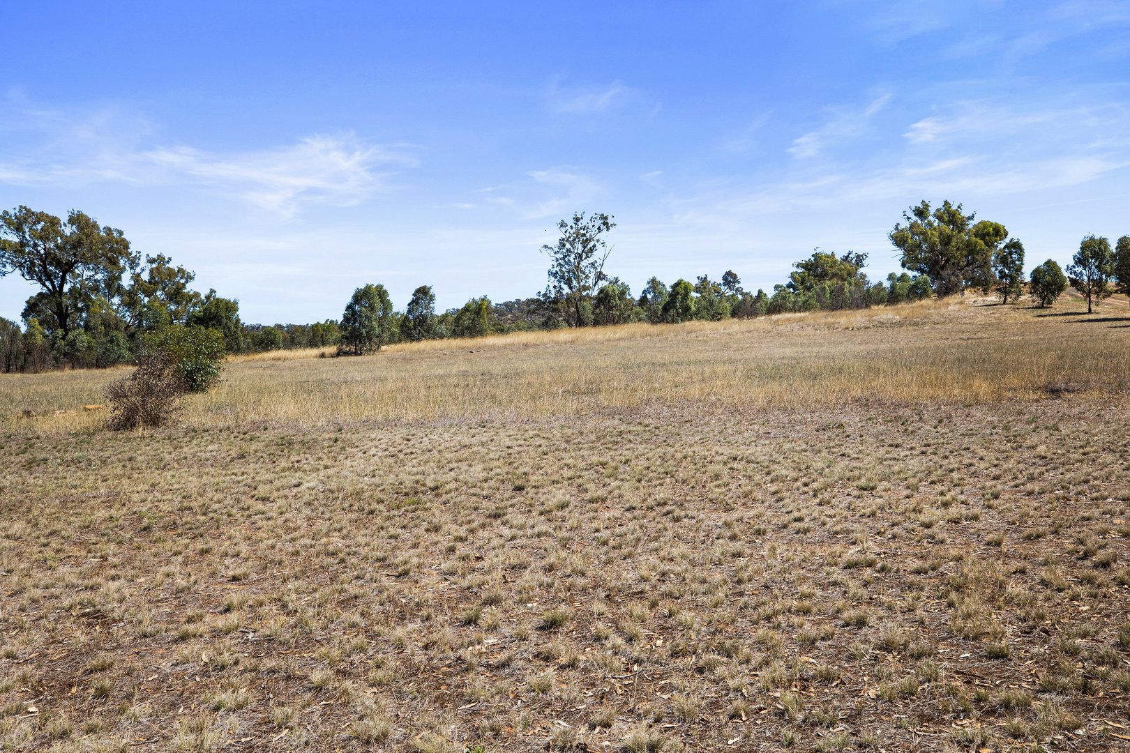 Lot 20 Axedale Goornong Road, Axedale VIC 3551, Image 2