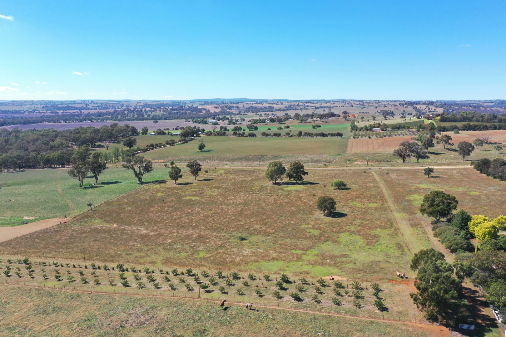 Additional image 23 of 216 Good Friday Gully Road Maimuru via, Young NSW 2594